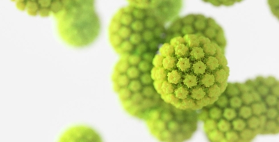 A 3D rendering of human papillomavirus