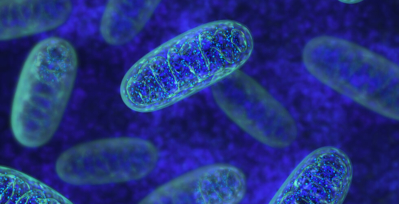 Microscopic view of mitochondria proteins