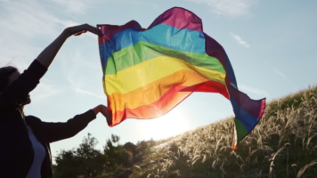 Pride flag rippling over a field of wheat.