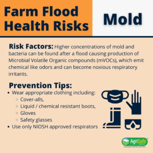 Farm flood health risks: mold. Risk factors: higher concentrations of mold and bacteria can be found after a flood causing production of microbial volatile organic compounds (m V O Cs), which emit chemical-like odors and can become noxious respiratory irritants. Prevention tips: wear appropriate clothing, including cover-alls, liquid and chemical resistant boots, gloves, and safety glasses. Use only NIOSH approved respirators.